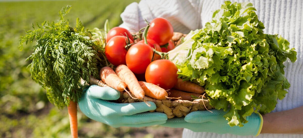 Fresher Picks of the Week: Seasonable Fruitsand Vegetables for Healthier